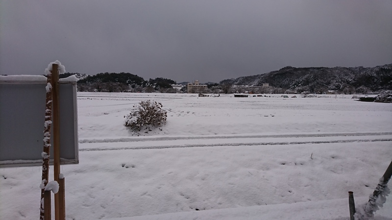 雲南市はすごい雪です‼（出雲市　夢工房）